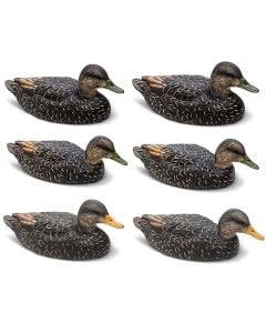 Rig 'Em Right 6 Pack Mainline Series Black Duck Decoys 