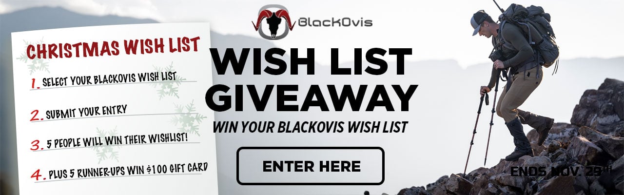 Wish List Giveaway