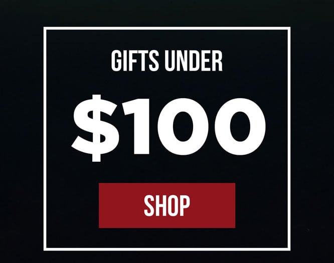 Gifts Under $100