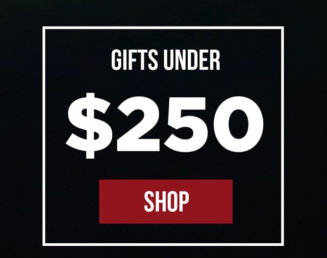 Gifts Under $250