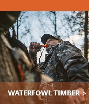 Sitka Timber